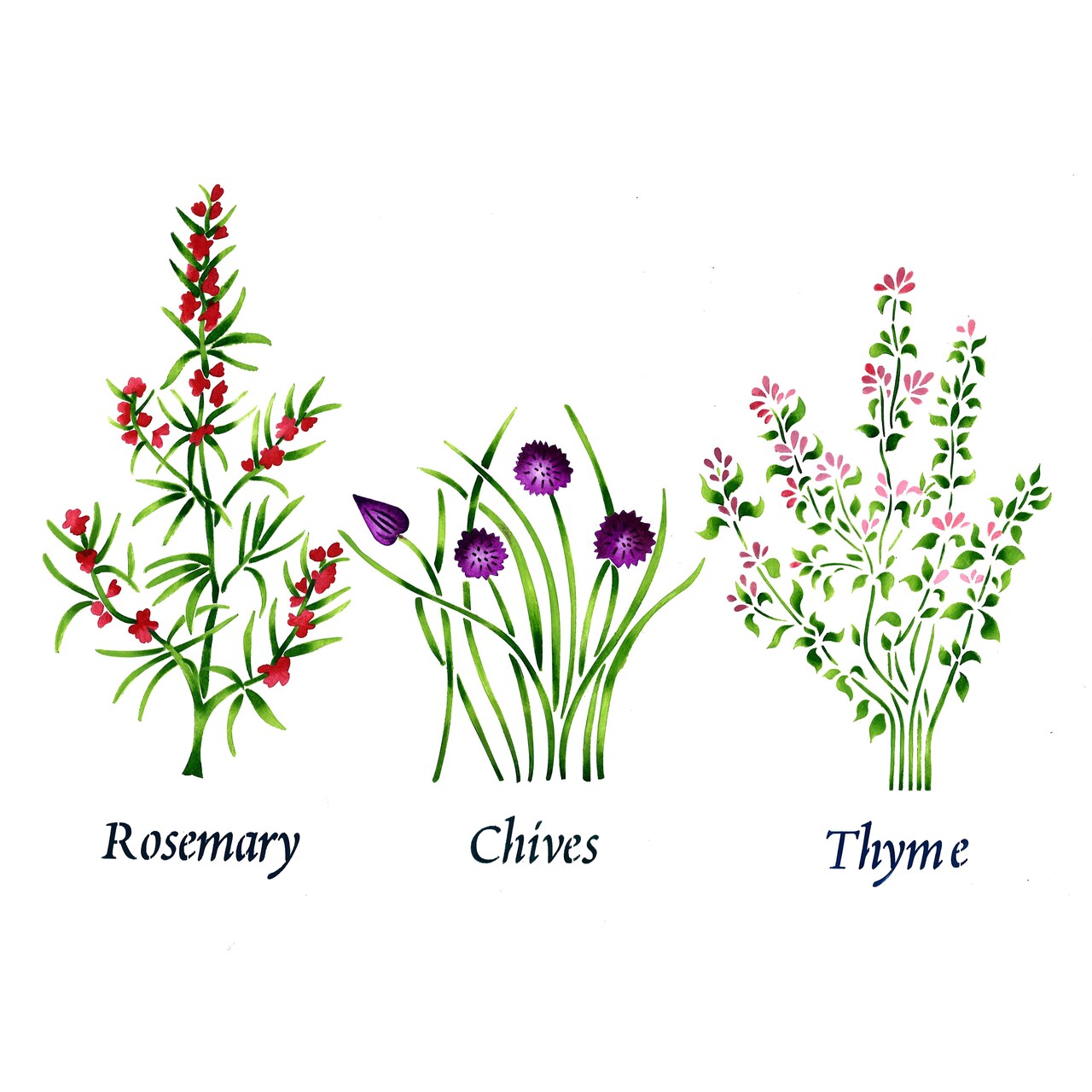 Large Standing Herbs: Rosemary, Chives, Thyme Wall Stencil | 2230R by Designer Stencils | Word & Phrase Stencils |